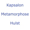 Kapsalon Metamorphose - Hulst